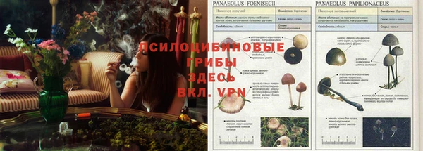 экстази Алексин