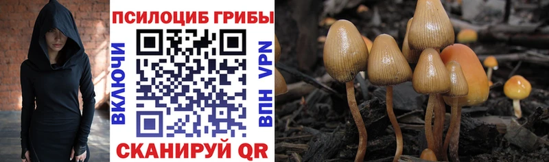 KRAKEN зеркало  Сухиничи  Псилоцибиновые грибы Magic Shrooms 
